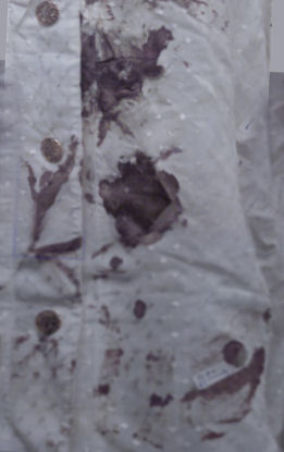 blouse 2003